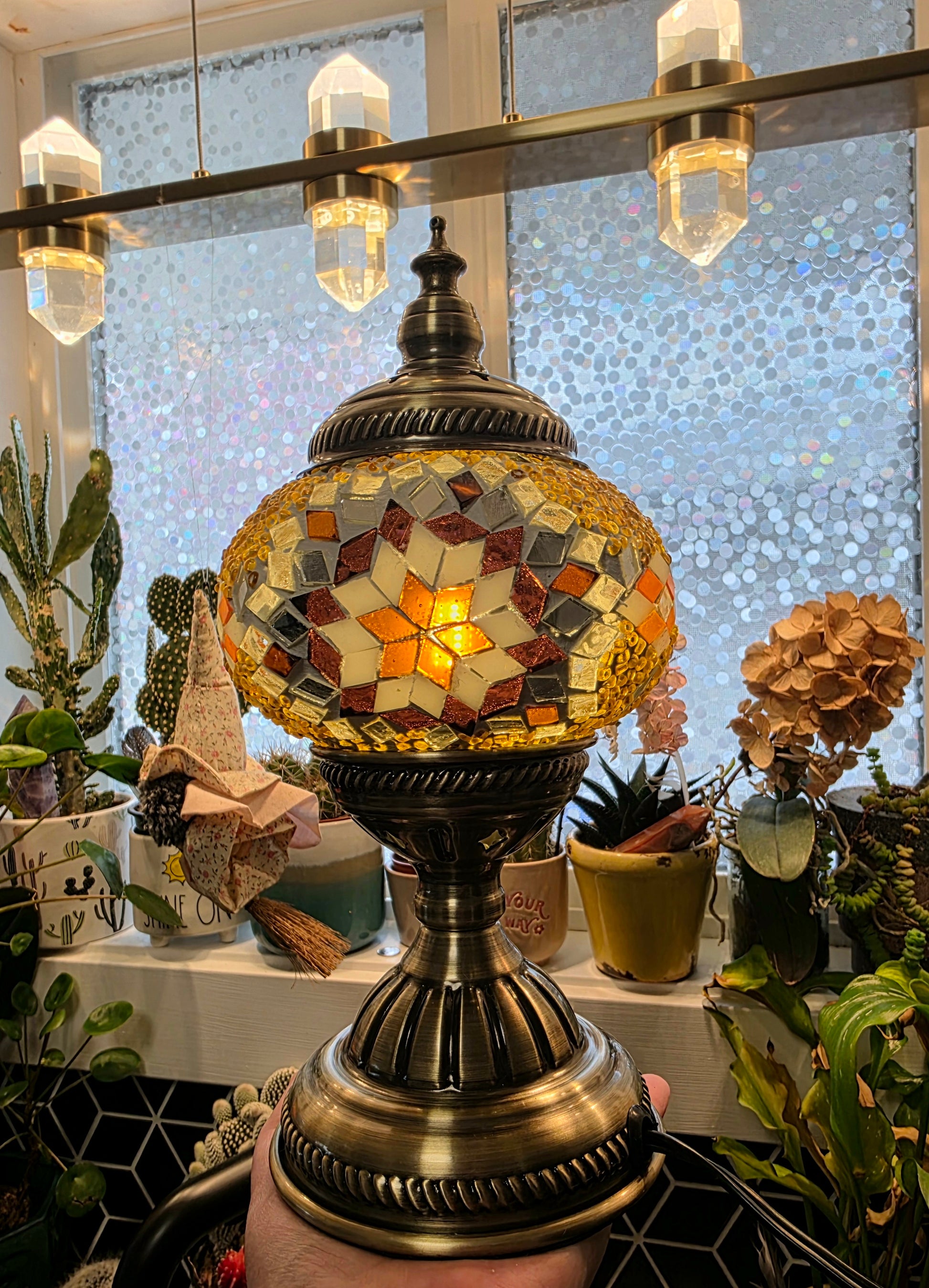 the image held in a window