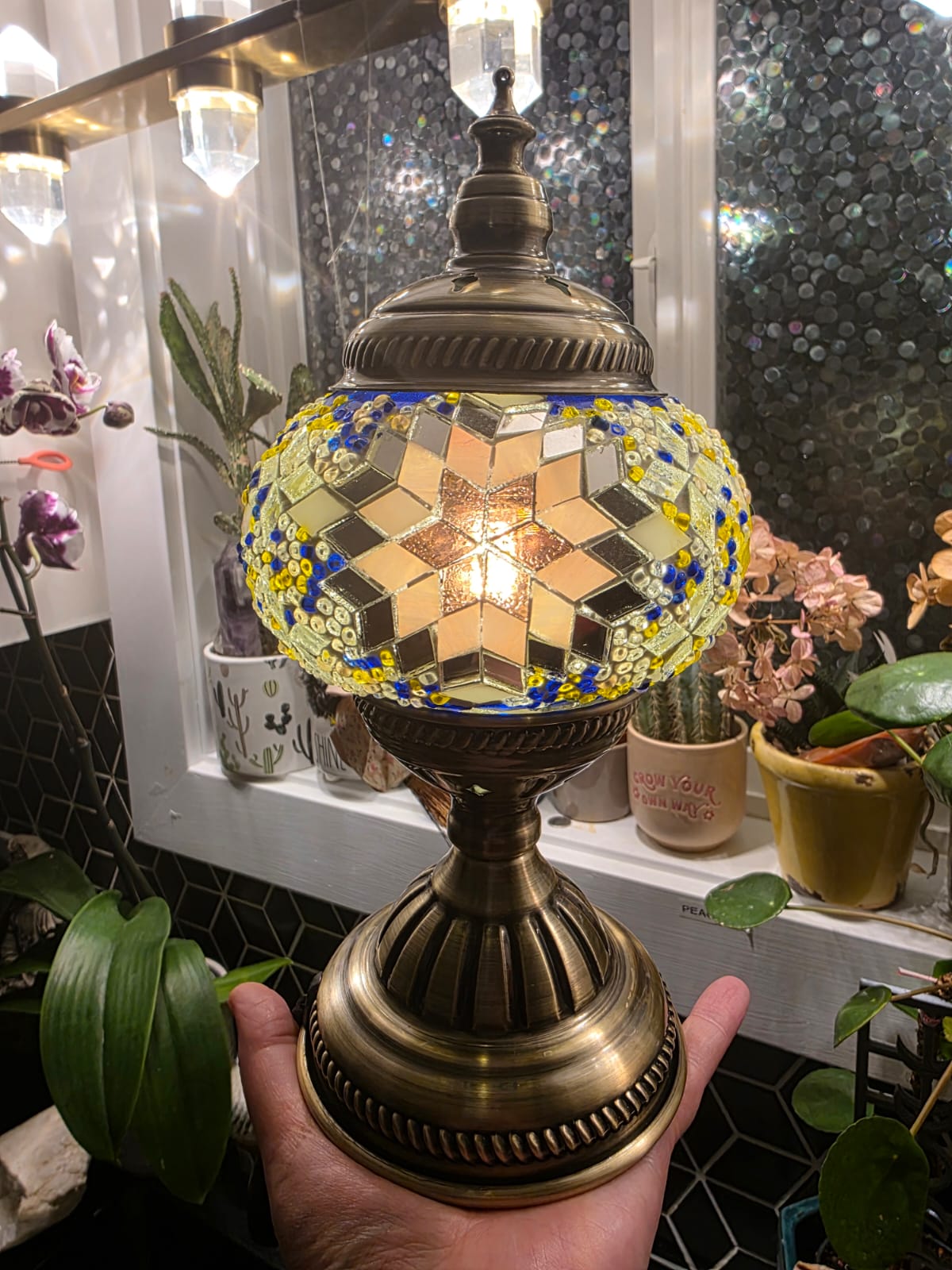 Decorative lamp with mosaic design held in front of a window with plants.